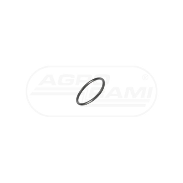 O-ring