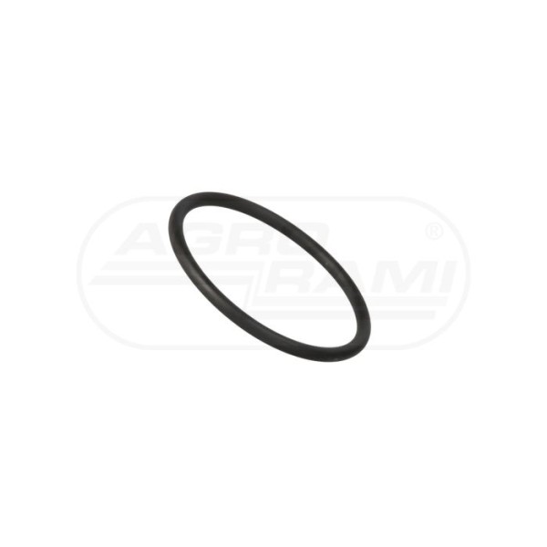 O-ring