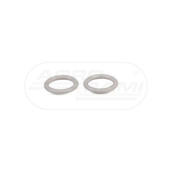 O-ring