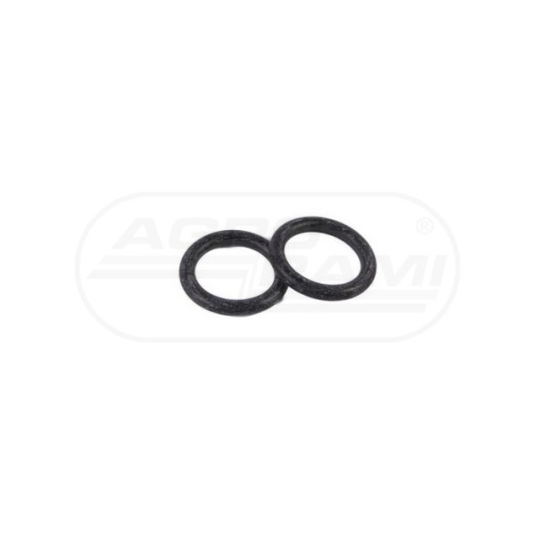 O-ring