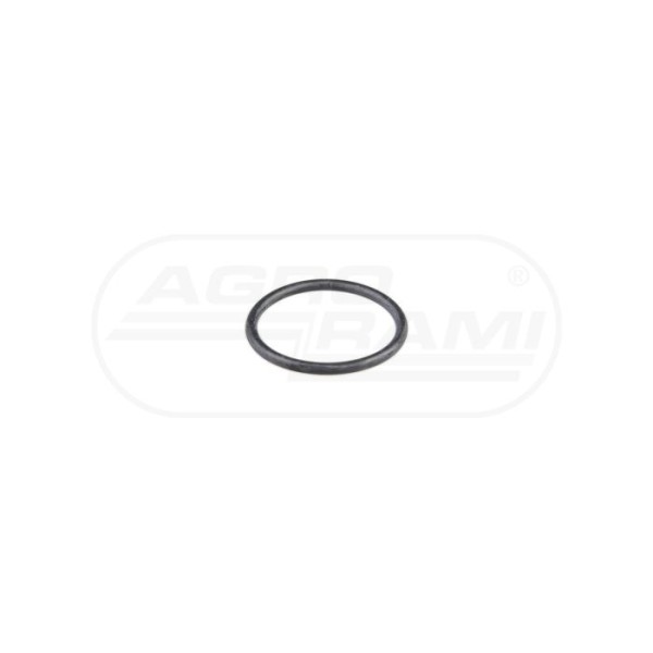 O-ring