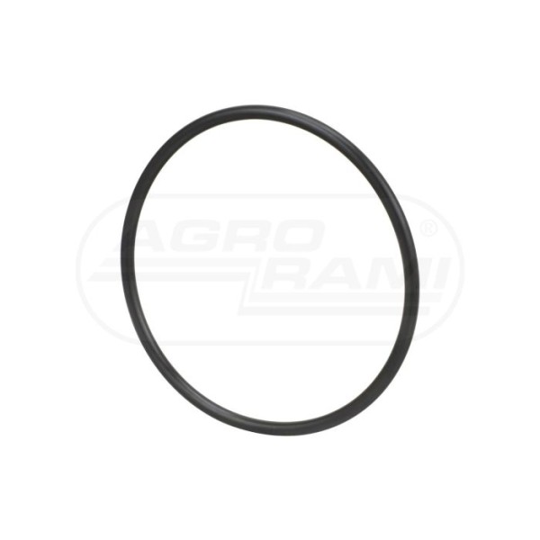 O-ring