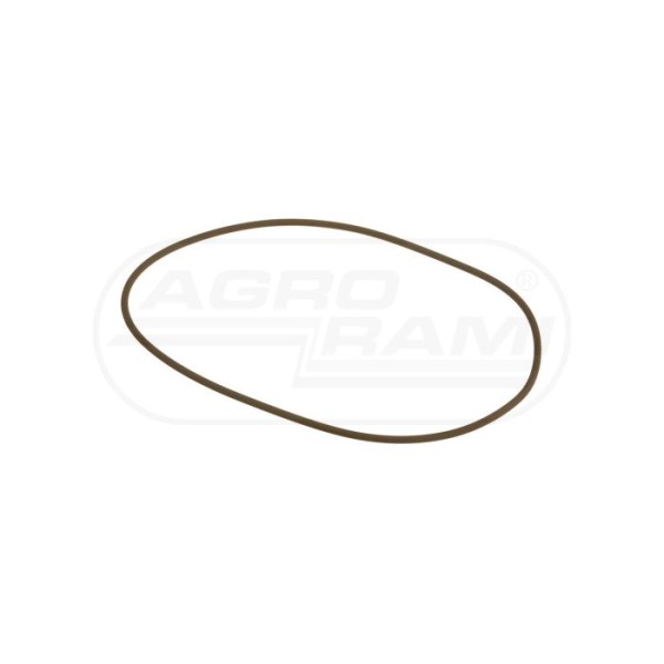 O-ring