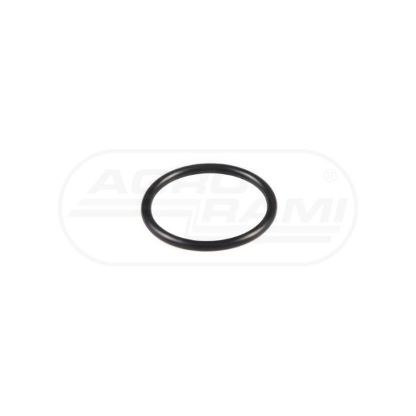 O-ring