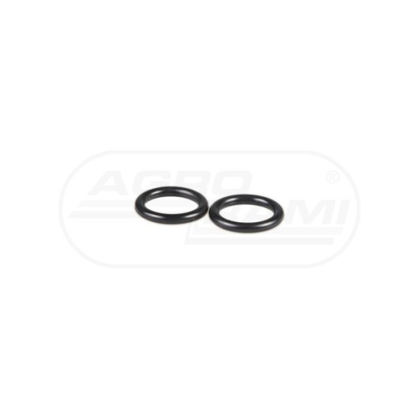 O-ring