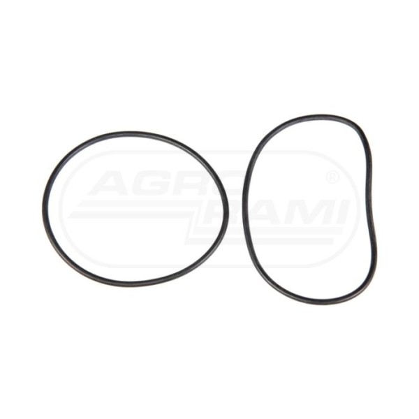 O-ring