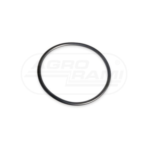 O-ring