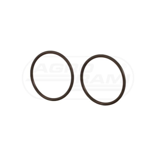 O-ring
