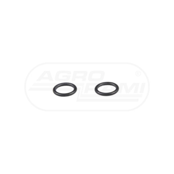 O-ring