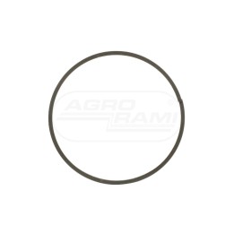 Uszczelka 5197519, ## Case IH
