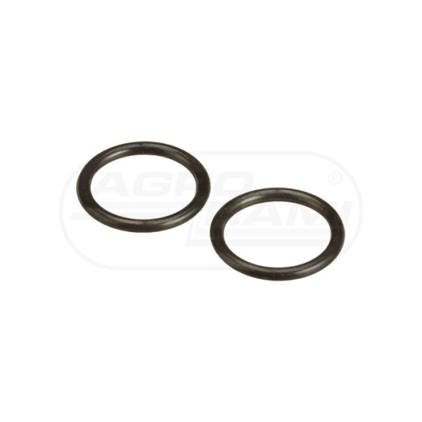 O-ring