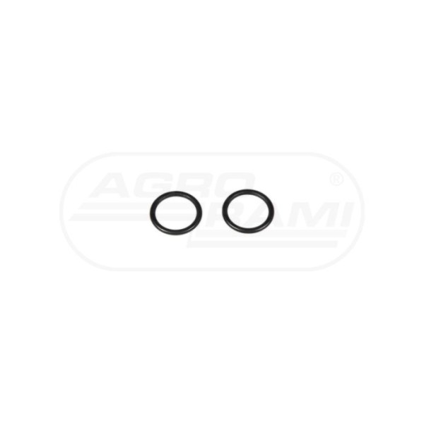 O-RING