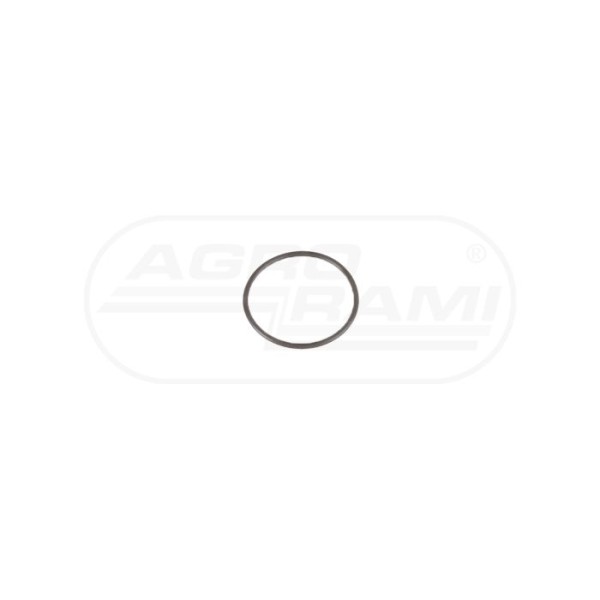 O-ring