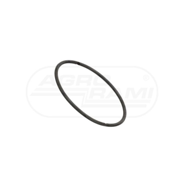 O-ring