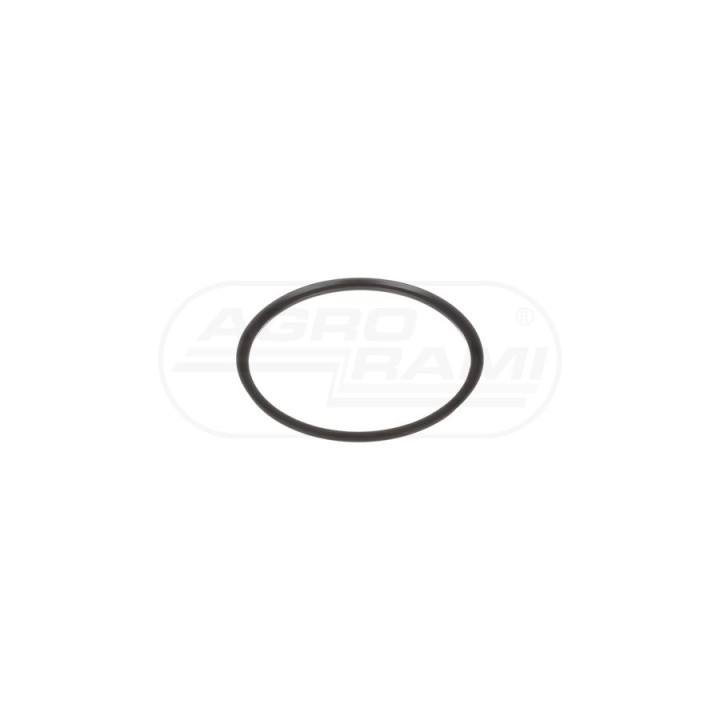 Pierścień uszczelniający 381488R1, ##, B92279, 381488R91 Case IH