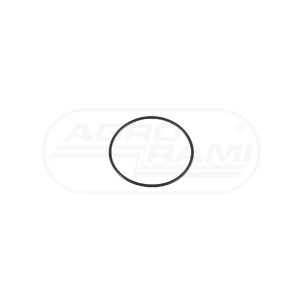 O-ring