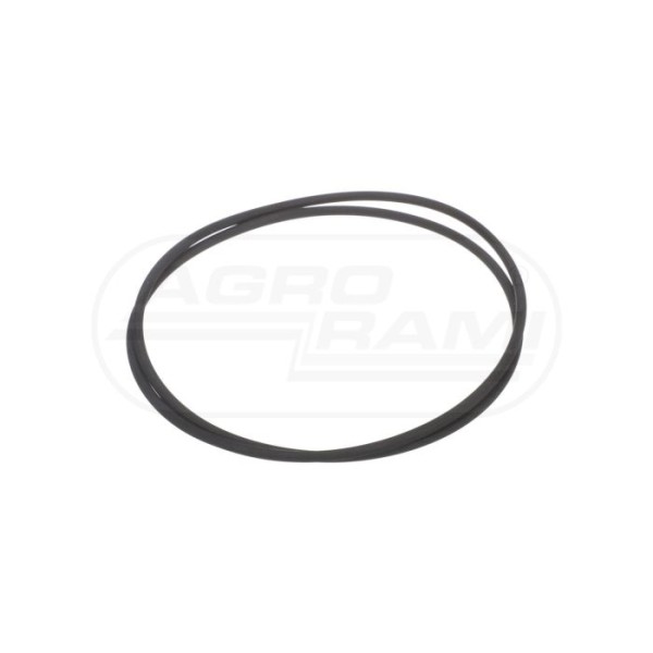 O-ring