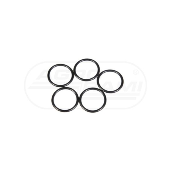 O-RING