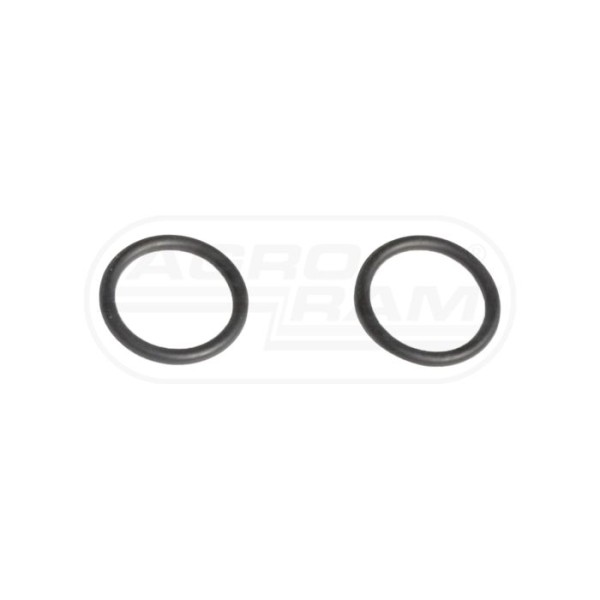 O-ring