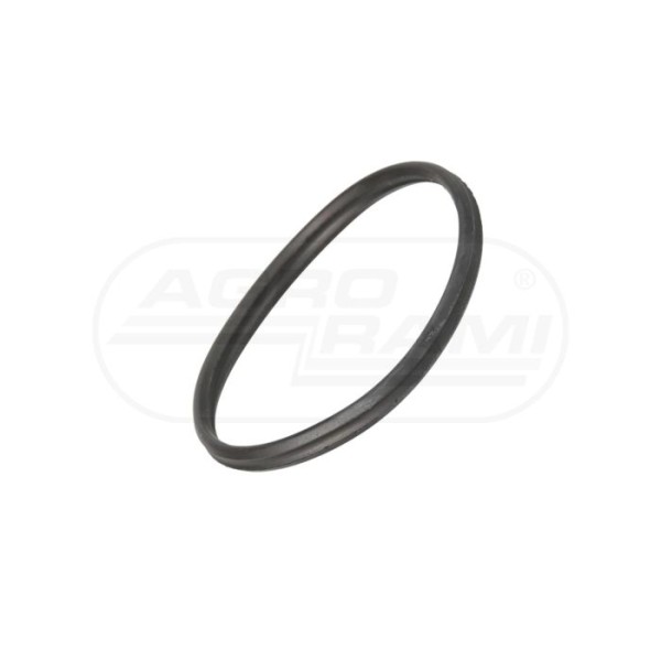 O-ring odmy IVECO