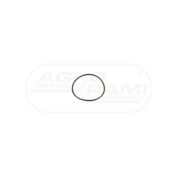 O-ring