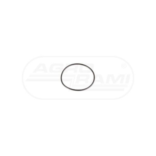 O-ring