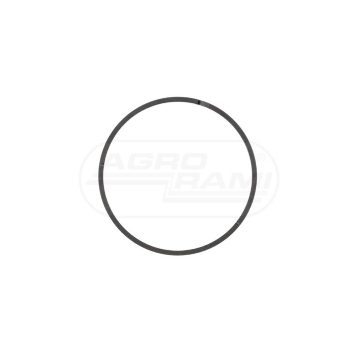 Pierścień 5175996, ##, 5156249 Case IH