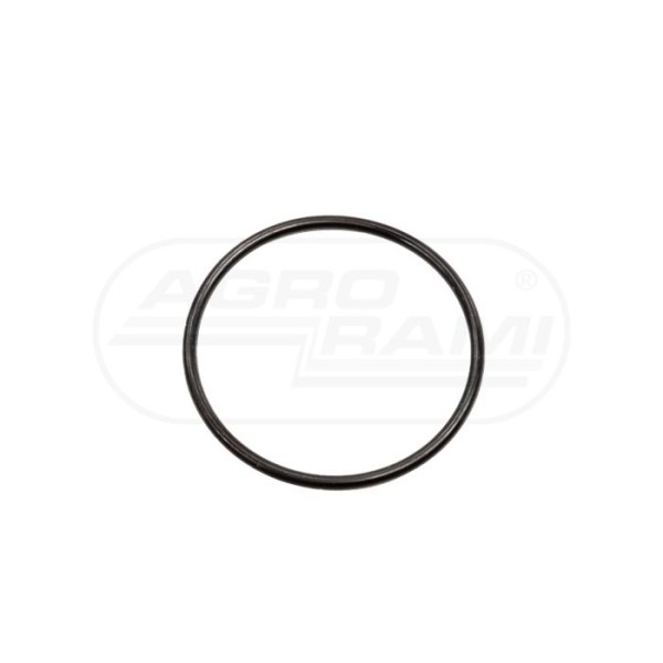 Pierścień uszcze.  B58716  fi-  47.29 X 2.62 MM