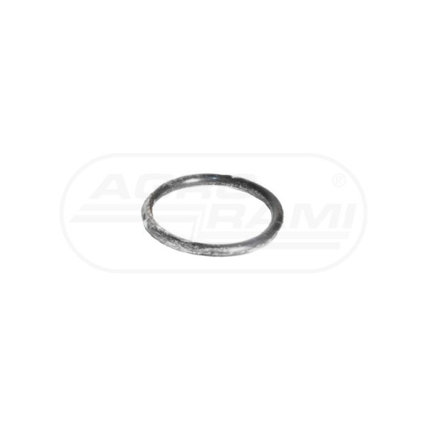 O-ring