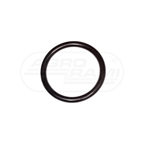O-ring