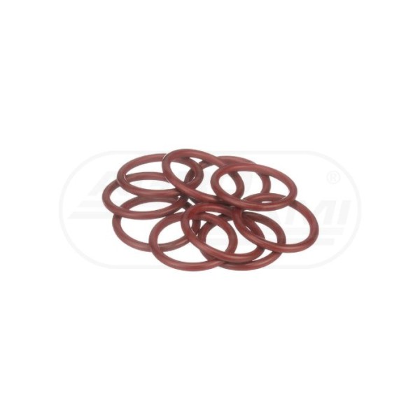 O-ring