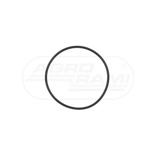 O-ring