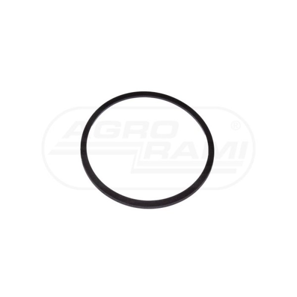 O-ring