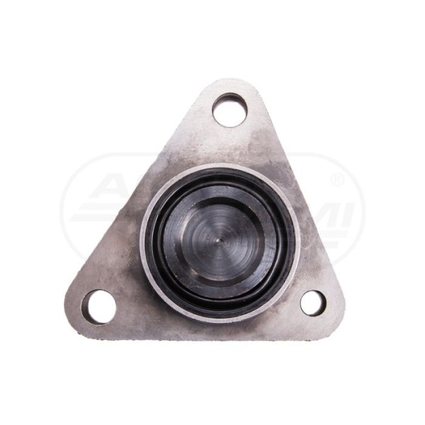 Cylinderek Hamulcowy 21413-20