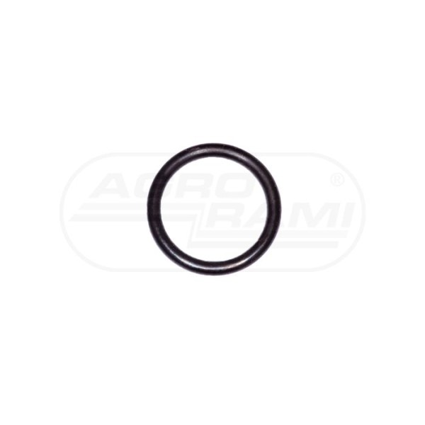 O-RING