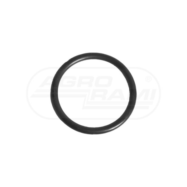 O-ring