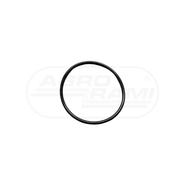 O-ring