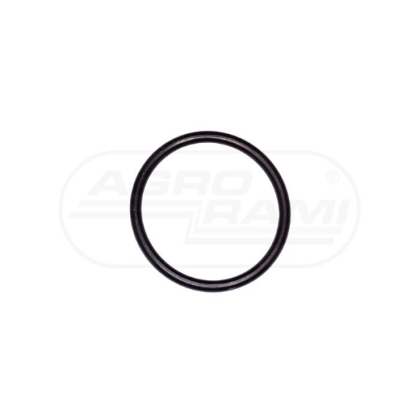 O-ring