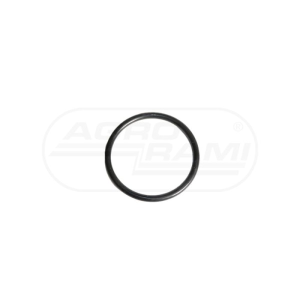 O-ring