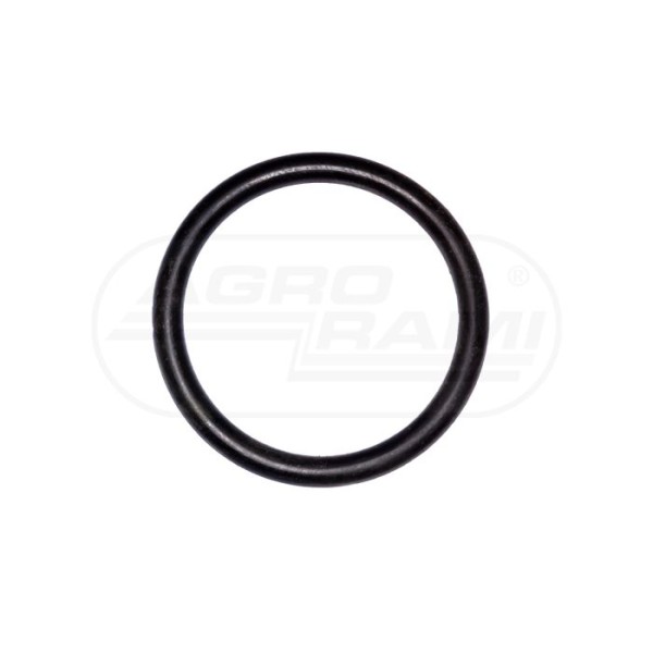 O-ring