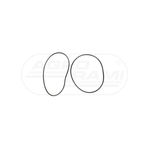 O-ring