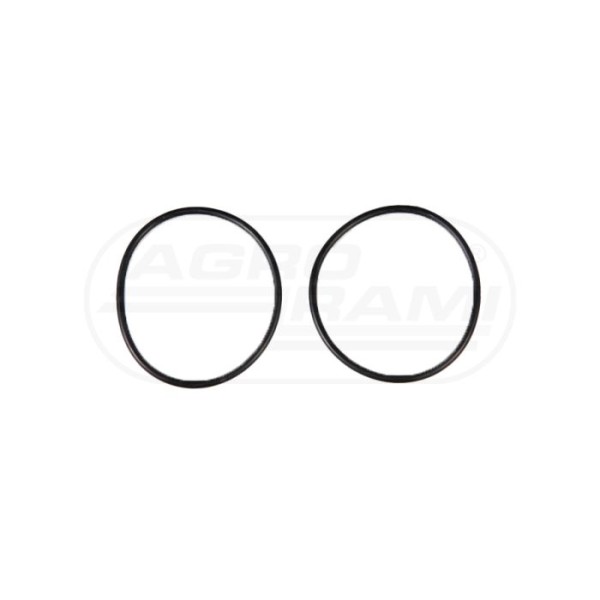 O-ring