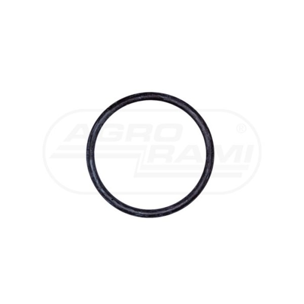 O-ring