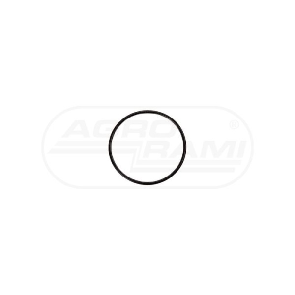 Oring 266011-1
