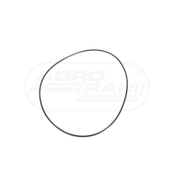 O-RING