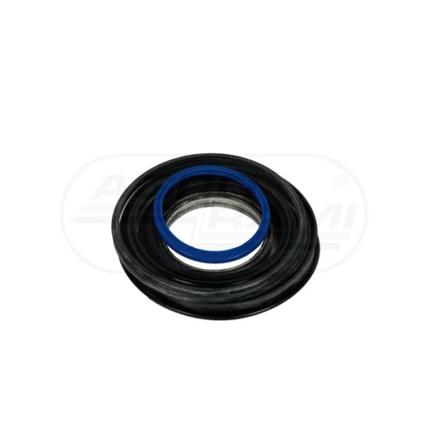Komplet uszczelek siłownika CT-S09-604130