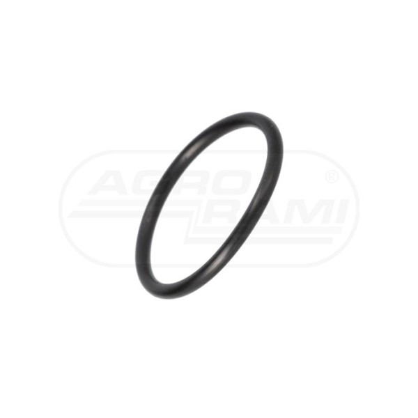 O-ring CNH
