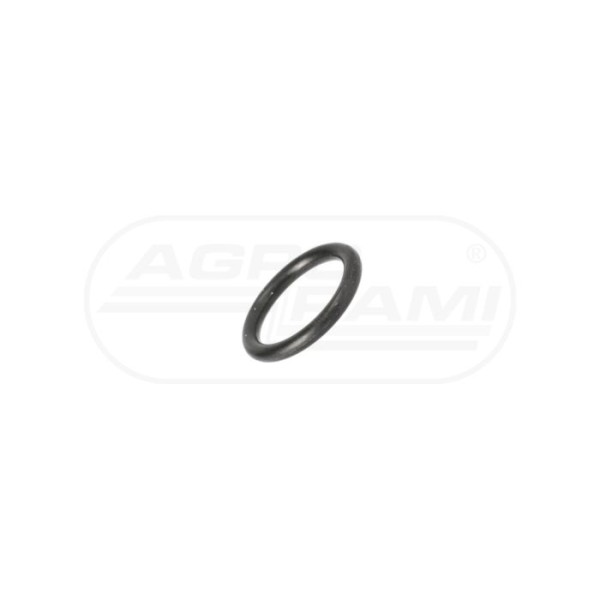 O-ring CNH