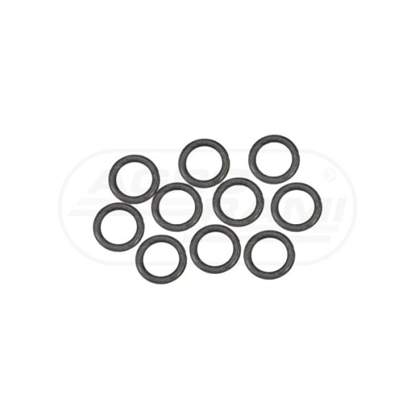 O-ring CNH
