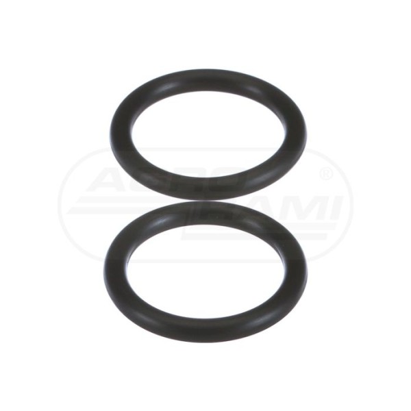 O-ring